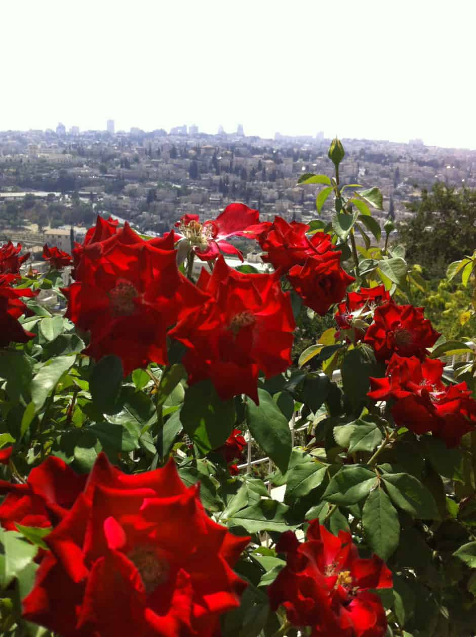jerusalem-hill